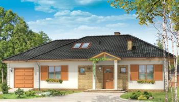 dominik2_images_wd1