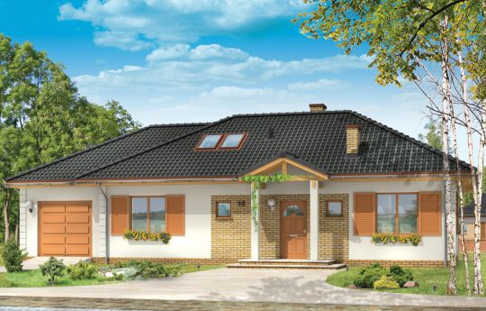 dominik2_images_wd1