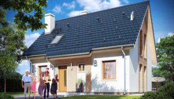projekt-domu-przygoda-2-wizualizacja-frontu-1523350729-gx0ukreg